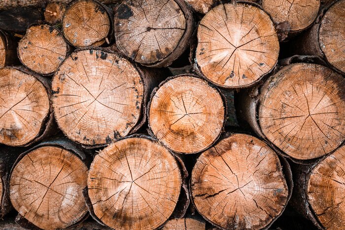 Bild Wall of stacked wood logs