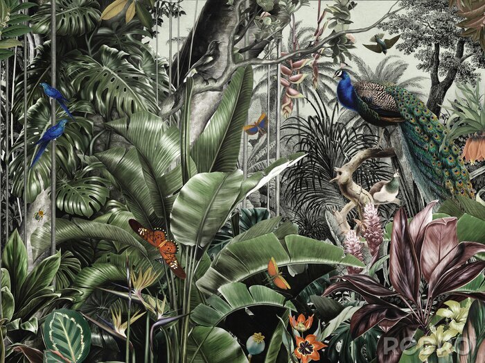 Bild wallpaper jungle and tropical forest flamngo and tropical birds, nach  Maß