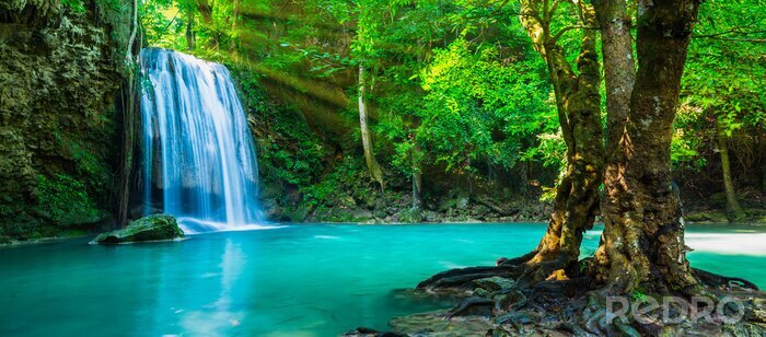 Bild Wasserfall im Dschungel