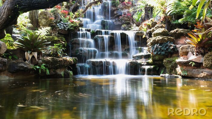 Bild Wasserfall im japanischen Garten