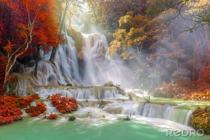 Bild Wasserfall im Regenwald