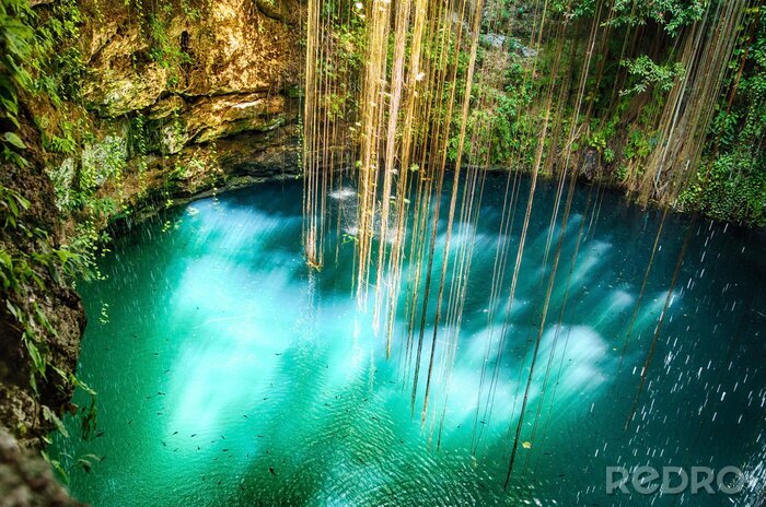 Bild Wasserfall und Dschungel in Mexiko