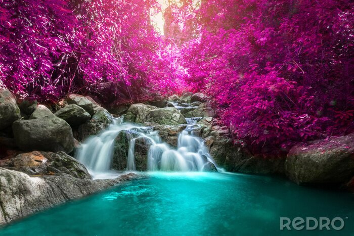 Bild Wasserfall zwischen Bäumen