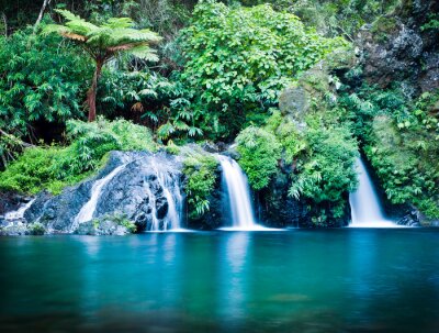 Wasserkaskaden und Grün