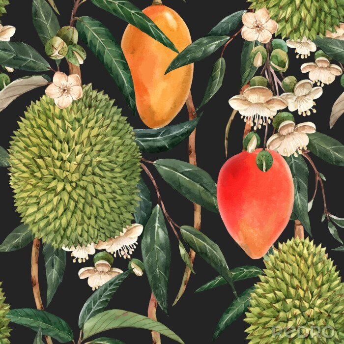 Bild Watercolor durian tropical vector seamless pattern