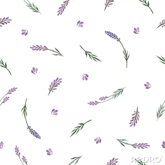 Bild Watercolor floral pattern
