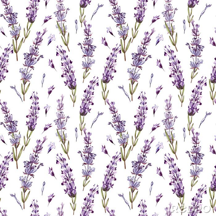 Bild Watercolor pattern with Lavender. Hand painting. Watercolor. 
