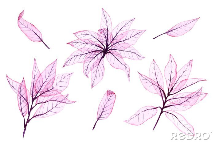Bild Watercolor transparent leaves. Hand painted pink leaves perfect for card making and label. Illustration