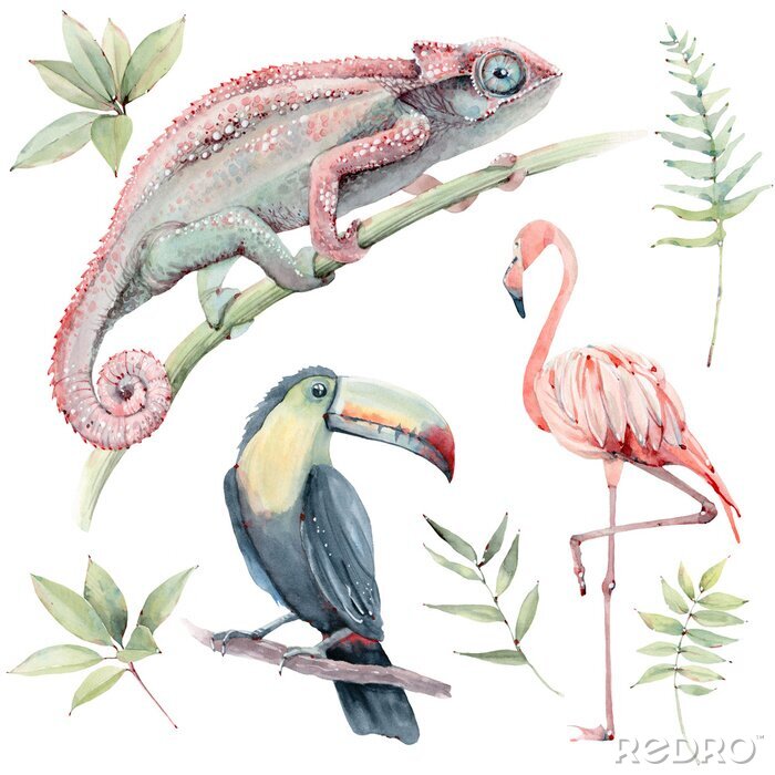 Bild watercolor tropical animals set.