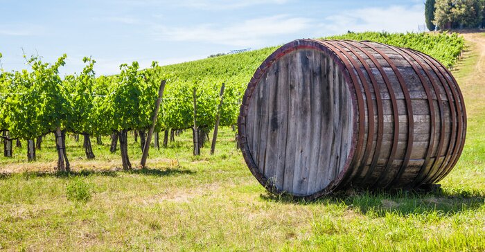 Bild Weingut in der Toskana