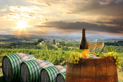 Weinverkostung im toskanischen Sonnenschein