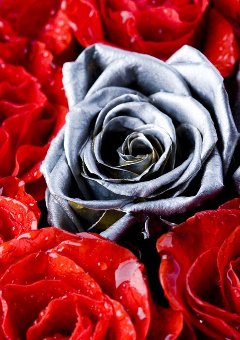 Bild Weiße Blume unter Roten