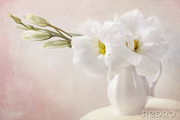 Bild Weiße Lilien in der Vase Shabby-Chic