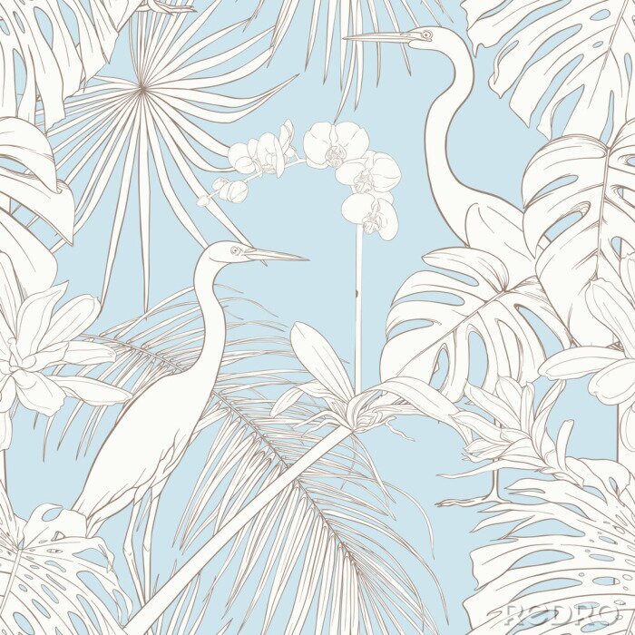 Bild Weiße Vögel in den Tropen