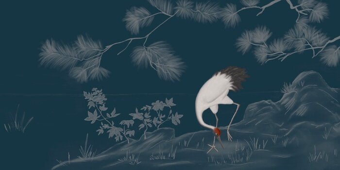 Bild Weißer Kranich nachts auf der Wiese