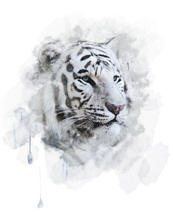 Bild Weißer tiger in aquarell