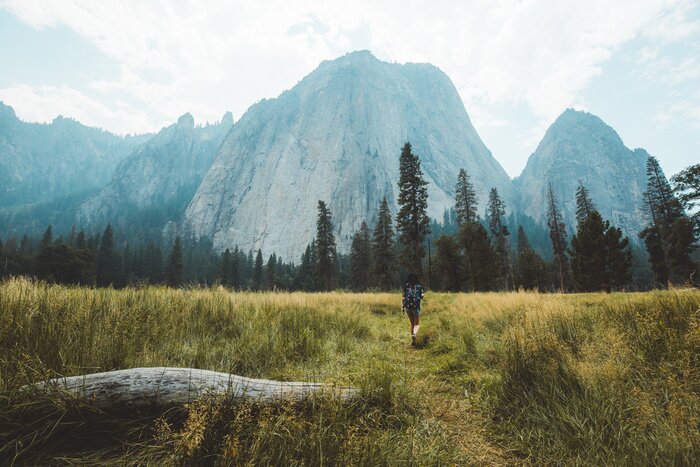 Bild Wiese im Herbst