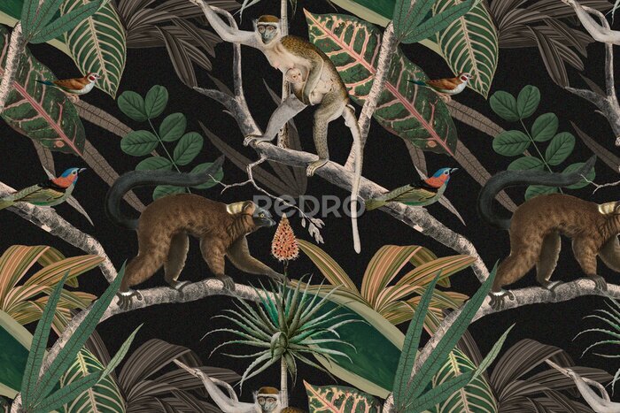 Bild Wilde Affen inmitten der Vegetation des Dschungels