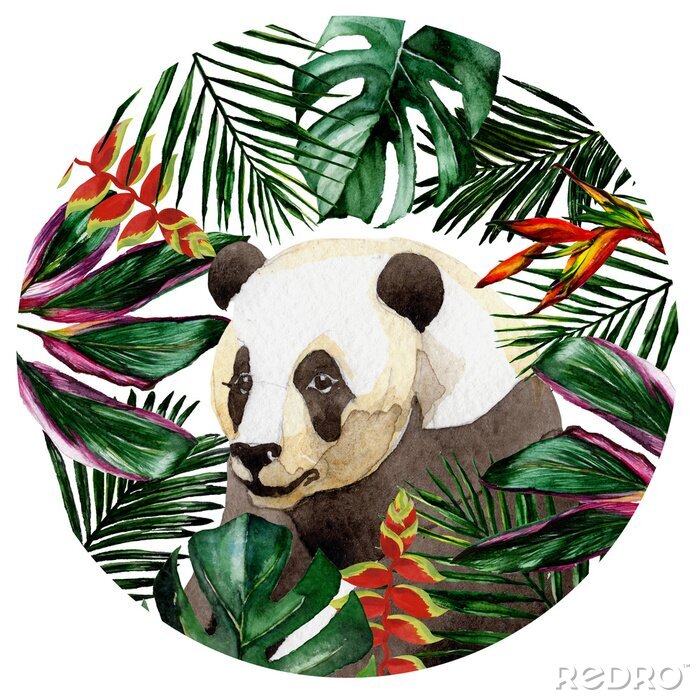 Bild Wilde Blume des Aquarells für Hintergrund, Beschaffenheit, Verpackungsmuster, Rahmen oder Grenze.