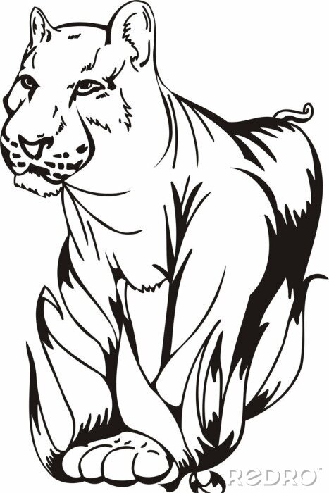 Bild Wilde Tiere Panther schwarze Linien