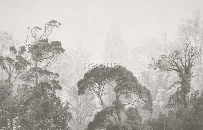 Bild Wilde Waldlandschaft in Grau