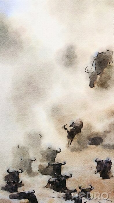 Bild Wildebeest watercolour