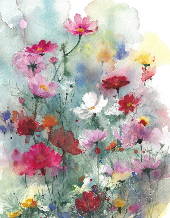 Bild Wildflowers summer colorful flowers watercolor painting illustration isolated on white background