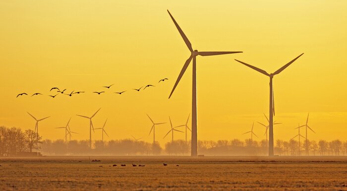 Bild Windpark auf dem Feld