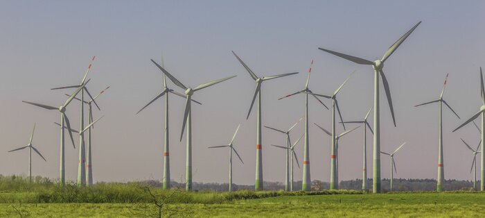 Bild Windräder auf der Lichtung