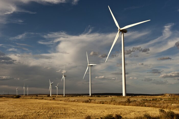 Bild Windräder in Spanien