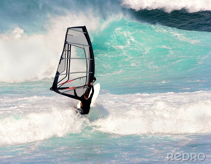 Bild Windsurfen am Meer