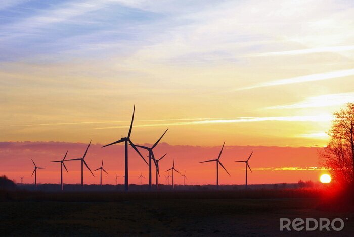 Bild Windturbinen und Sonnenuntergang