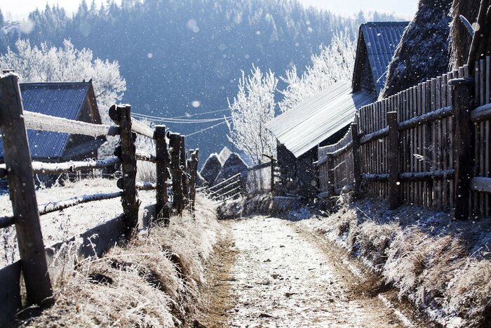 Bild Winter auf dem Land am Wald