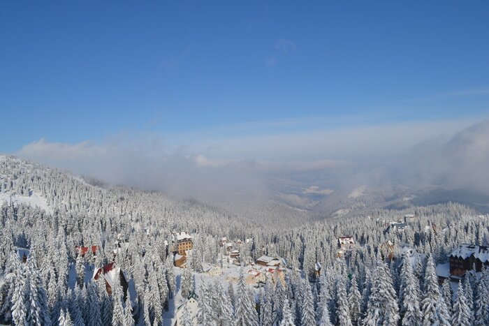 Bild Winter auf dem Land aus Vogelperspektive