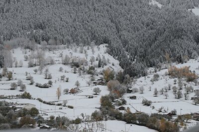 Bild Winter auf dem Land inmitten der Bäume