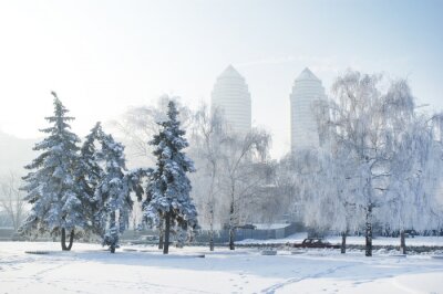 Bild Winter im Stadtpark