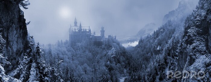 Bild Winter und Blick aufs Schloss