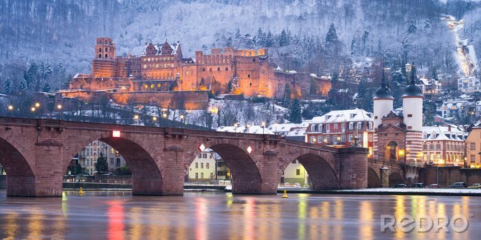 Bild Winterarchitektur Heidelberg