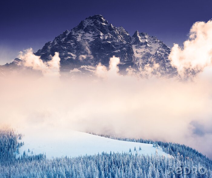 Bild Winterlandschaft mit Berg