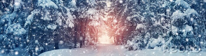 Bild Winterstraße durch einen dichten Wald