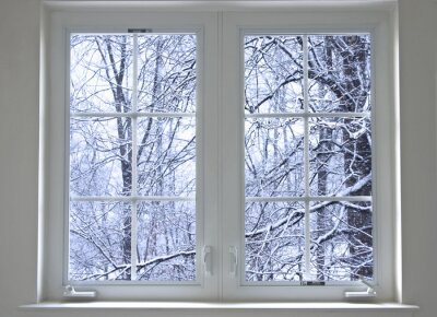 Winterwald-Fenster