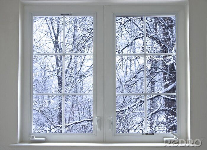 Bild Winterwald-Fenster