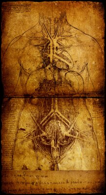 Wissenschaft und Skizze von Leonardo Da Vinci