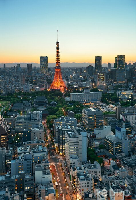 Bild Wolkenkratzer am Tokioter Nachthimmel