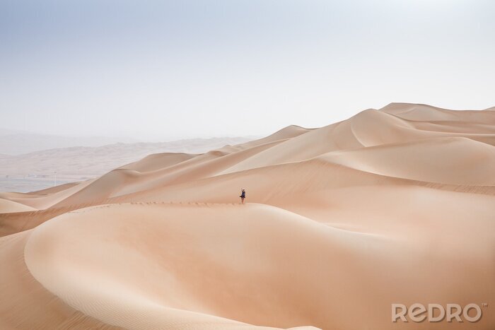 Bild Wüste in den Arabischen Emiraten