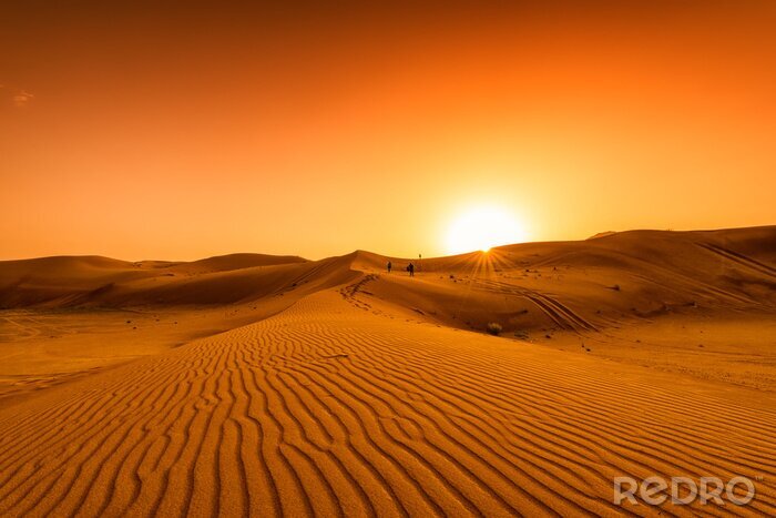 Bild Wüste in Dubai
