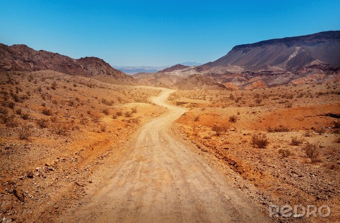 Bild Wüste Nevada