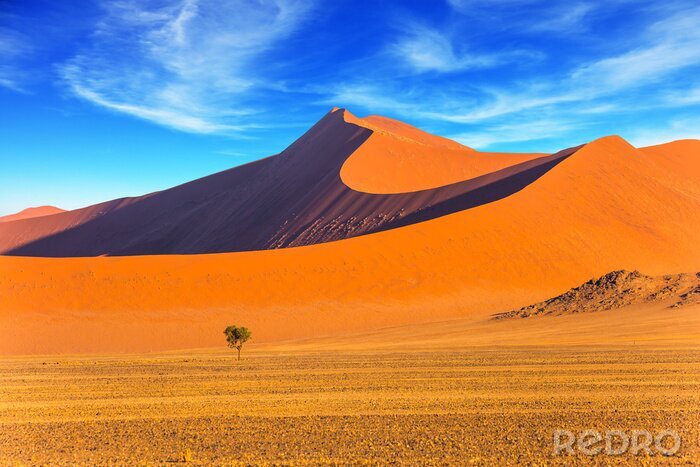 Bild Wüste Sahara Dünen