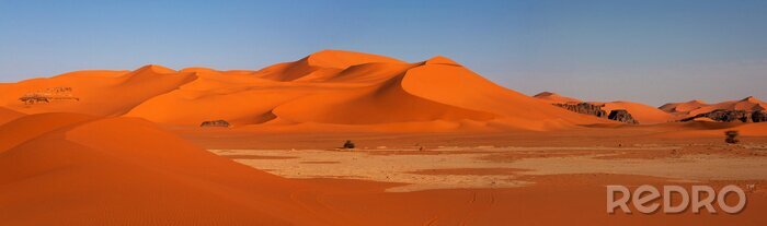 Bild Wüste Sahara in der Sonne