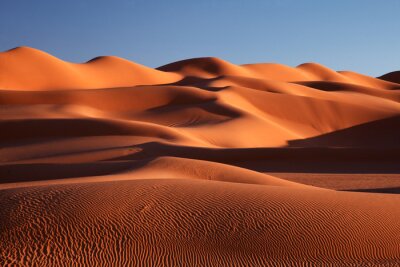 Bild Wüste und hohe Dünen